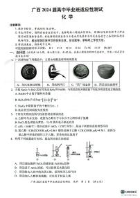 2024届广西壮族自治区玉林市高三下学期三模考试化学试题