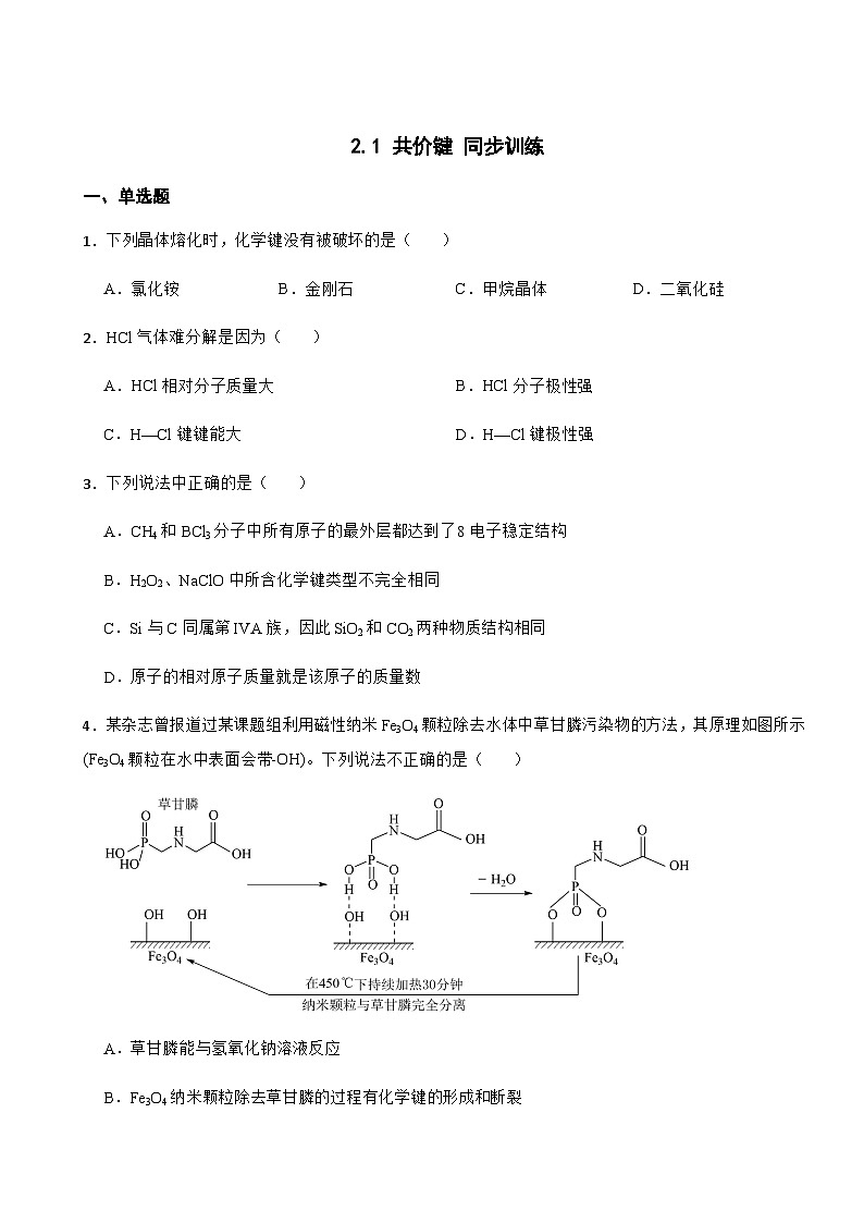 2.1 共价键 同步训练 2023-2024学年高二下学期化学人教版（2019）选择性必修2第1页