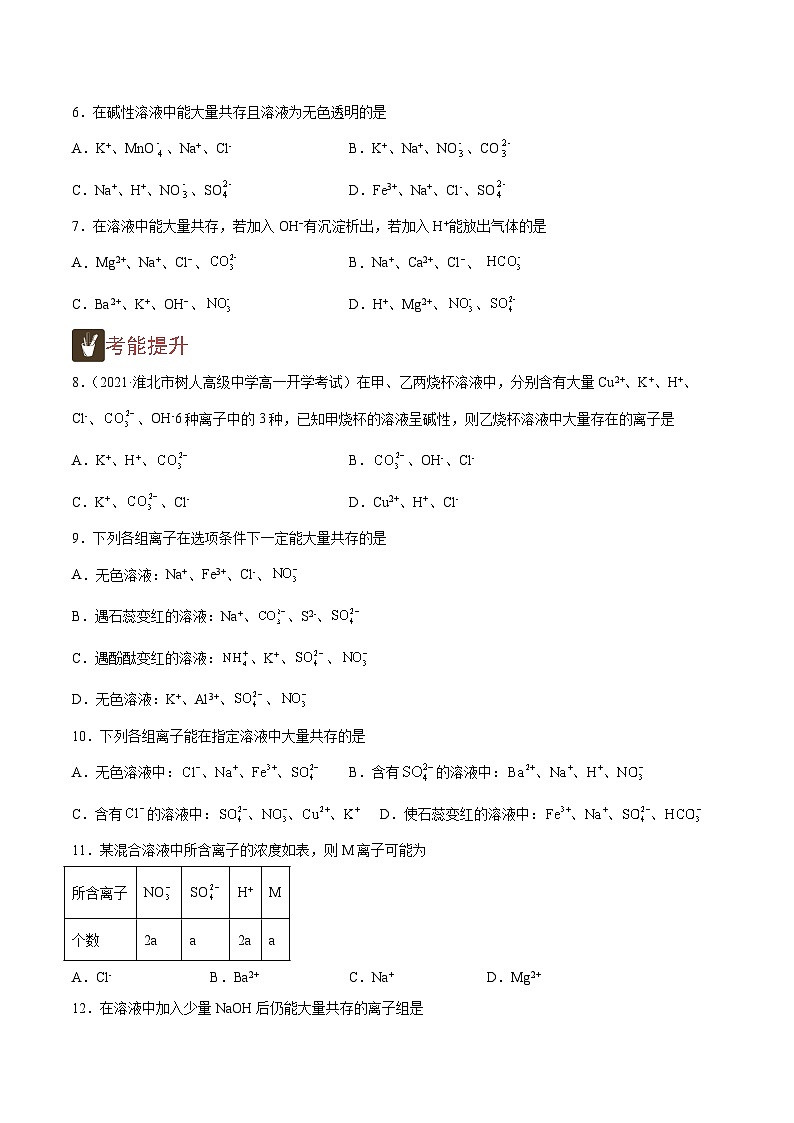1.6 离子共存判断（精练）-高一化学上学期《考点•题型•技巧》精讲与精练高分突破（人教版）（原卷版）第2页