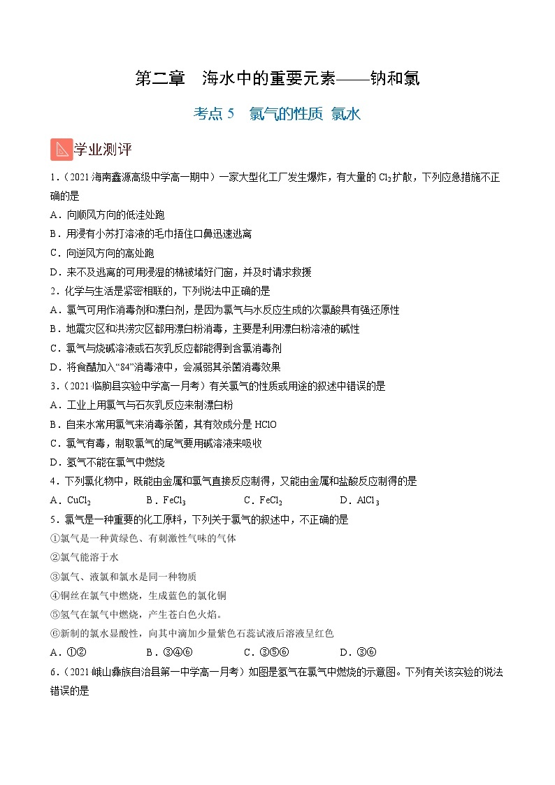 2.5 氯气的性质 氯水（精练）-2024-2025学年高一化学上学期常考题型精讲与精练高分突破（人教版）01