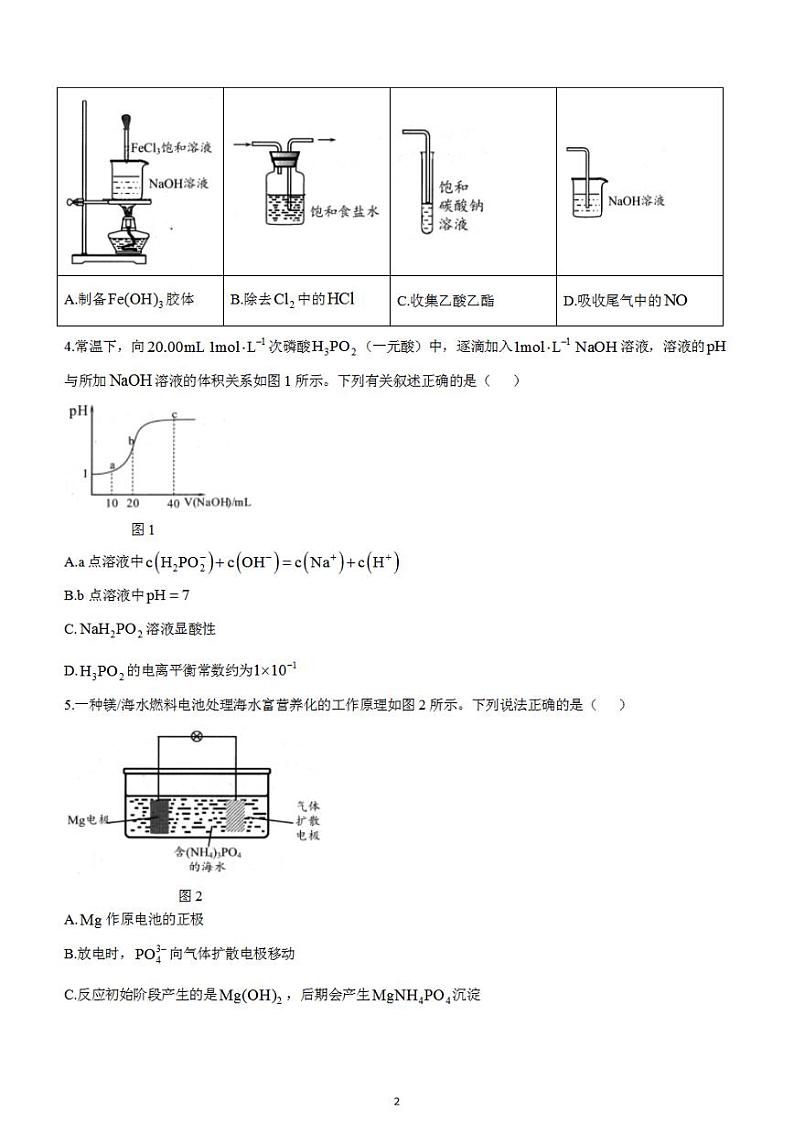 2024届广东省大亚湾区普通高中毕业年级高三1月份联合模拟考试（一）化学试卷第2页