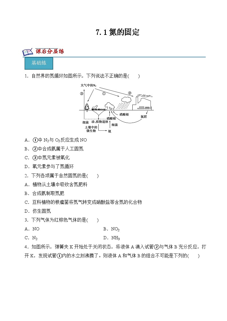 7.1氮的固定（分层练习）-2023-2024学年高一化学同步精品课件+分层练习（苏教版必修第二册）01