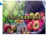 8.1.2石油炼制　乙烯（同步课件）-2023-2024学年高一化学同步精品课件+分层练习（苏教版必修第二册）