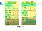 8.2.3 酯　油脂（同步课件）-2023-2024学年高一化学同步精品课件+分层练习（苏教版必修第二册）