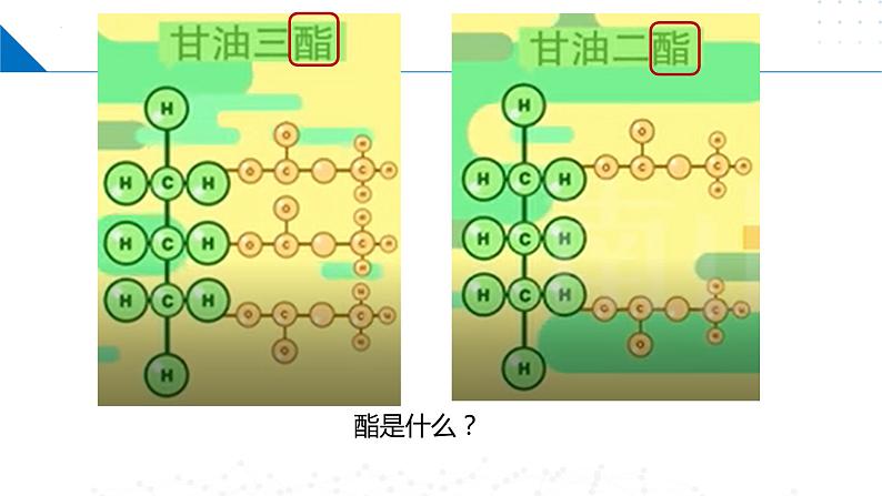 8.2.3 酯　油脂（同步课件）第4页