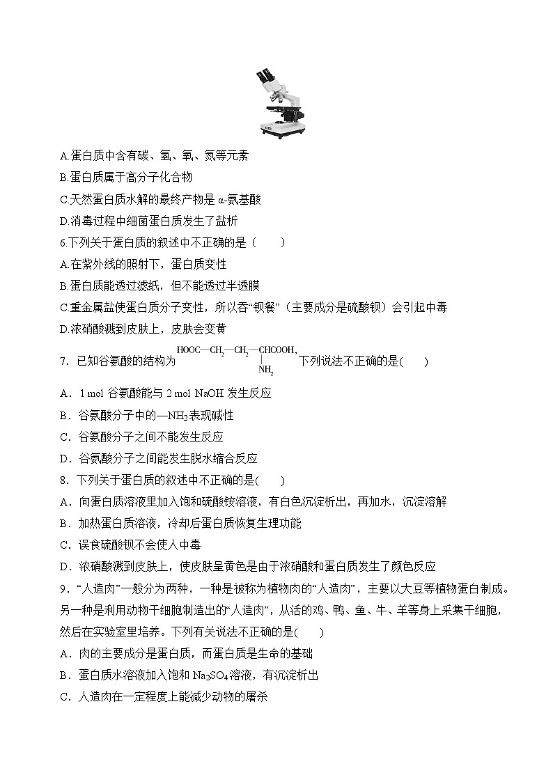 8.2.5蛋白质和氨基酸（分层练习）（原卷版）第2页