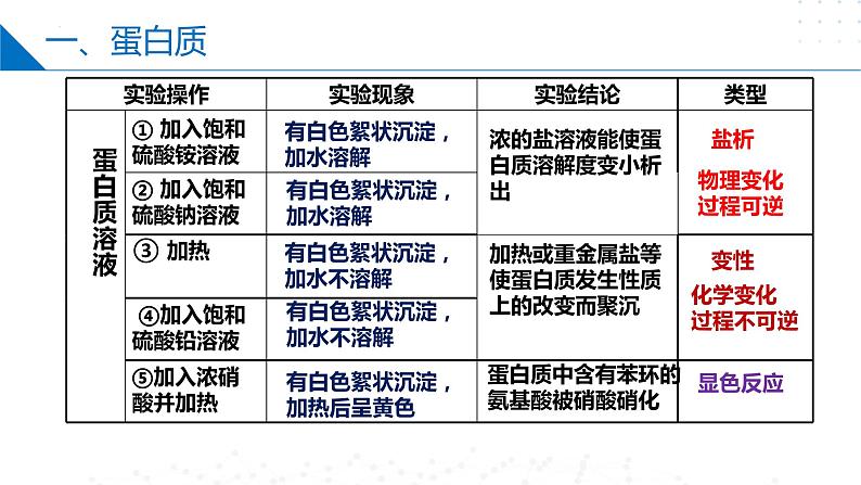 8.2.5蛋白质和氨基酸（同步课件）第7页