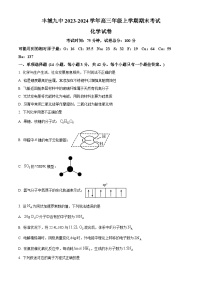 江西省宜春市丰城市第九中学2023-2024学年高三上学期期末考试化学试题（原卷版+解析版）