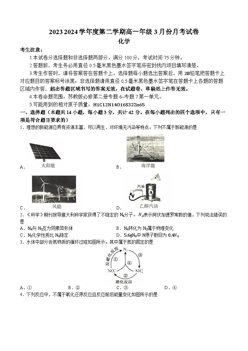 河北省沧州市沧州十校2023-2024学年高一下学期3月月考化学试题第1页