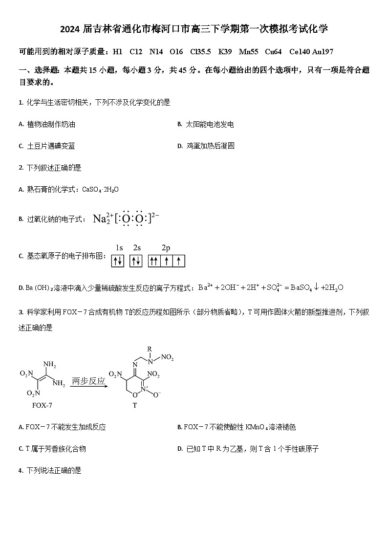 2024届吉林省通化市梅河口市高三下学期第一次模拟考试化学试题（含答案）第1页