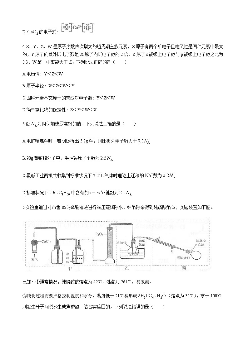 2024届湖北省十一校高三下学期第二次联考化学试卷（含解析）第2页