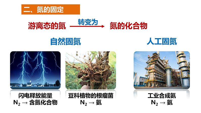 5.2.1氮气与氮的固定  （课件）  2023-2024学年高一下学期化学人教版（2019）必修第二册第5页