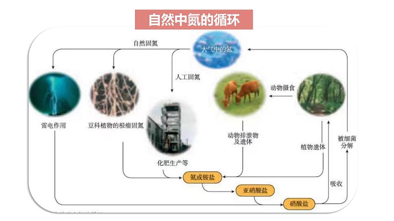 5.2.1氮气与氮的固定  （课件）  2023-2024学年高一下学期化学人教版（2019）必修第二册第6页