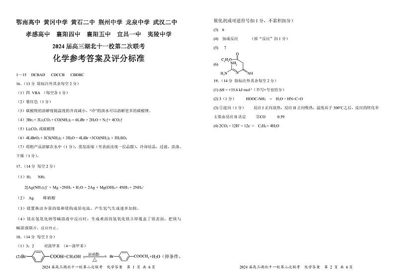 湖北省十一校2024届高三下学期第二次联考化学试题及答案01