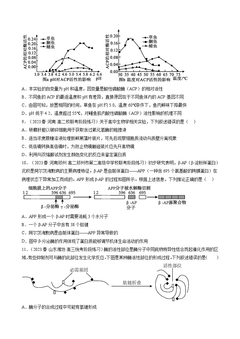 2024年高考生物一轮复习讲练测(新教材新高考)第8.1讲降低化学反应活化能的酶(练习)(原卷版+解析)第3页