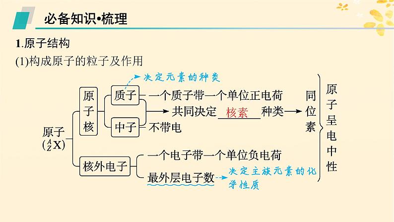 适用于新高考新教材备战2025届高考化学一轮总复习第5章物质结构与性质元素周期律第23讲原子结构原子核外电子排布课件第5页