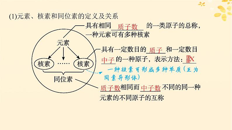 适用于新高考新教材备战2025届高考化学一轮总复习第5章物质结构与性质元素周期律第23讲原子结构原子核外电子排布课件第8页