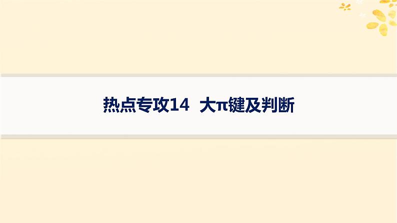 适用于新高考新教材备战2025届高考化学一轮总复习第5章物质结构与性质元素周期律热点专攻14大π键及判断课件第1页