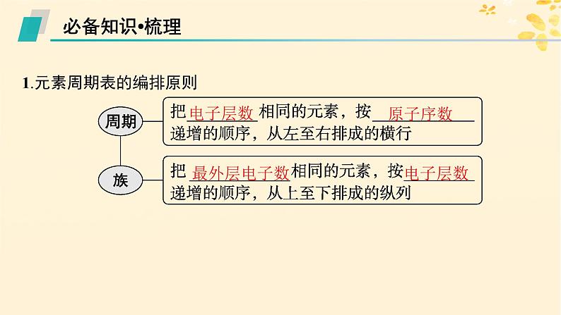 适用于新高考新教材备战2025届高考化学一轮总复习第5章物质结构与性质元素周期律第24讲元素周期表和元素周期律及其应用课件第5页