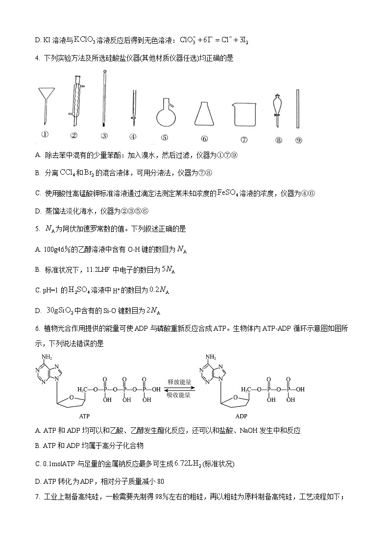 河北省邯郸市2024届高三第二次调研监测化学试题（原卷版）第2页