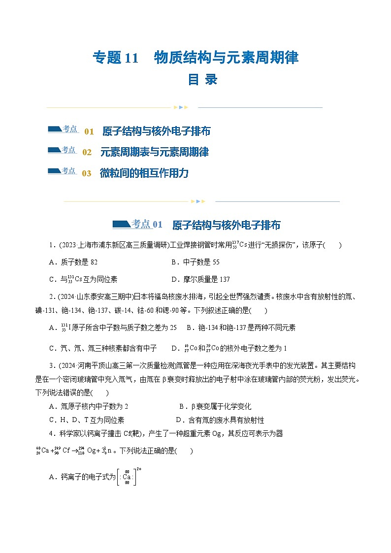 专题11  物质结构与元素周期律(练习)-高考化学二轮复习讲练测（新教材新高考）01