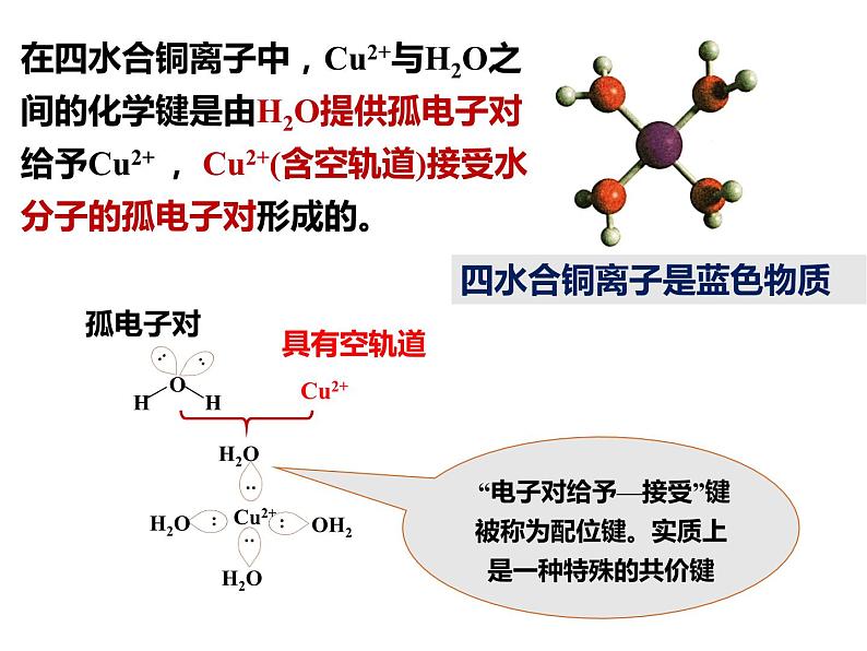 化学人教版（2019）选择性必修2 3.4.1配合物与超分子 课件第7页