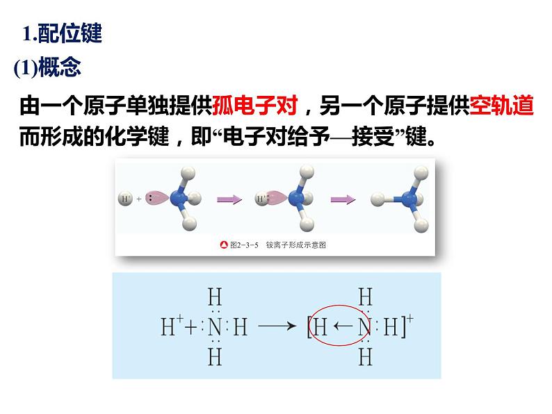 化学人教版（2019）选择性必修2 3.4.1配合物与超分子 课件第8页