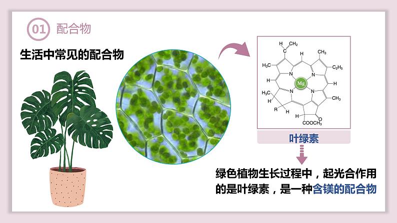 3.4.1配合物与超分子课件2023-2024学年高二下学期化学人教版（2019）选择性必修2第4页