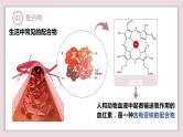 3.4.1配合物与超分子课件2023-2024学年高二下学期化学人教版（2019）选择性必修2