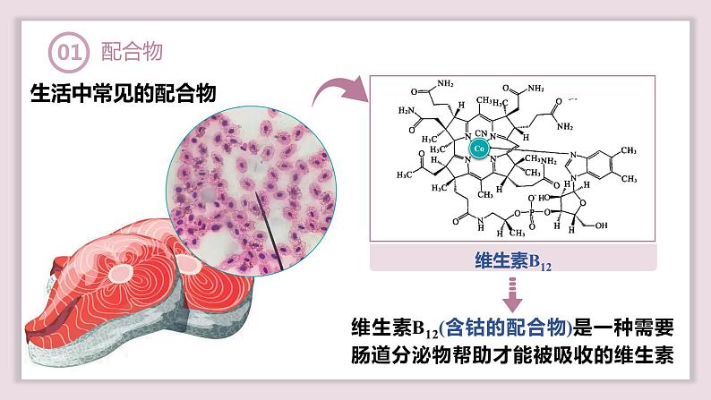 3.4.1配合物与超分子课件2023-2024学年高二下学期化学人教版（2019）选择性必修2第6页