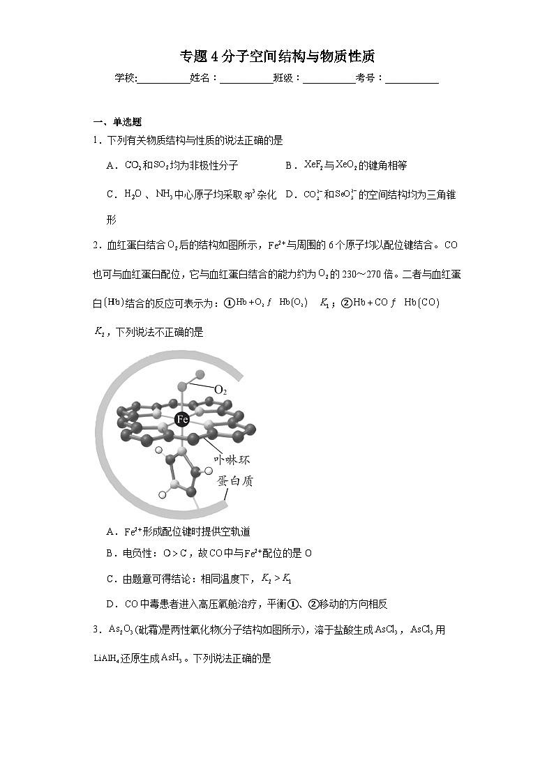 专题4分子空间结构与物质性质同步练习 2023-2024学年高二下学期苏教版（2019）化学选择性必修201