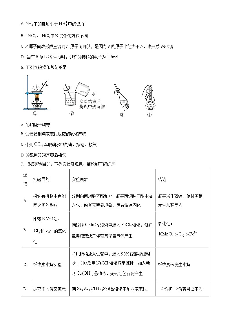 山东省烟台市第一中学2023-2024学年高三下学期4月份月考化学试题（原卷版）第2页