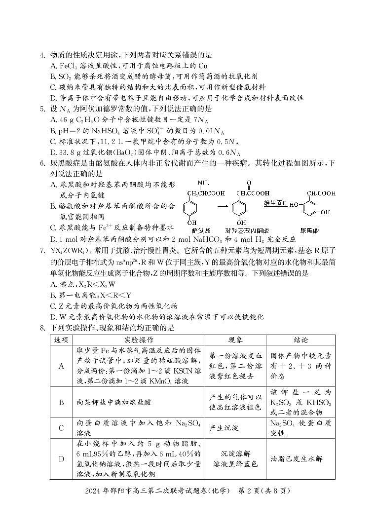 2024年邵阳市高三下学期第二次联考测试化学试题及答案02