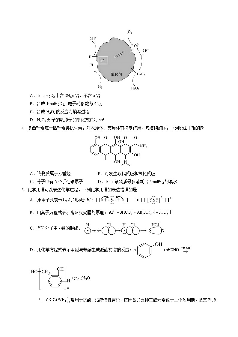 2024年高考第二次模拟考试：化学（湖北卷）（考试版）第2页