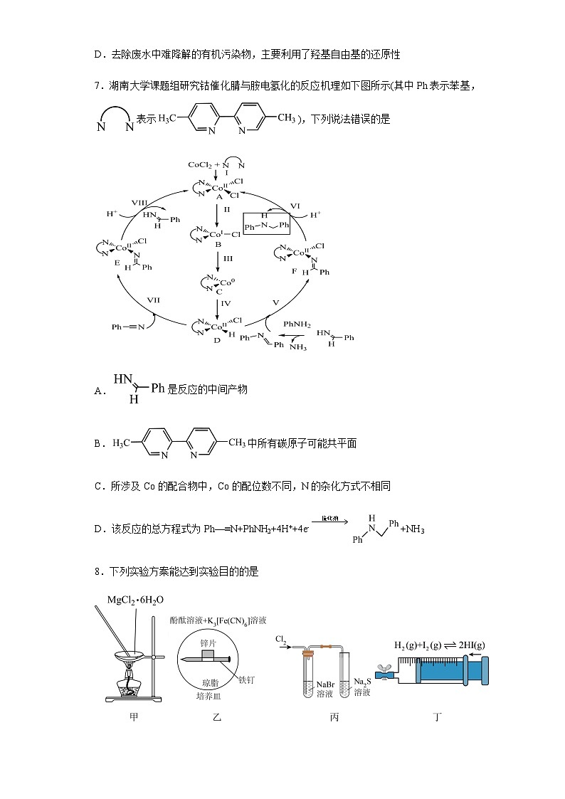 广西省钦州市第四中学2023-2024学年高三下学期4月测试化学试卷（含答案）第3页