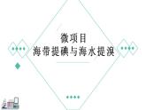 2023-2024學(xué)年魯科版（2019）必修第二冊 第一章 二微項目 海帶提碘和海水提溴  課件