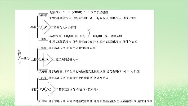 2024春新教材高中化学第4章生物大分子章末总结课件新人教版选择性必修302