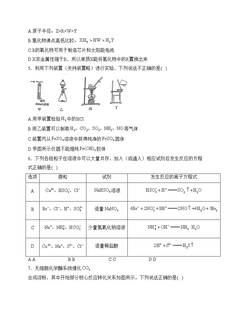 山东省济南市莱芜第一中学2023-2024学年高一下学期第一次阶段性调研化学试卷(含答案)02