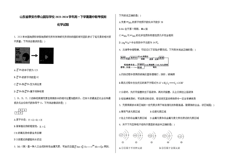 山东省泰安市泰山国际学校2023-2024学年高一下学期期中联考模拟化学试卷（含答案）01