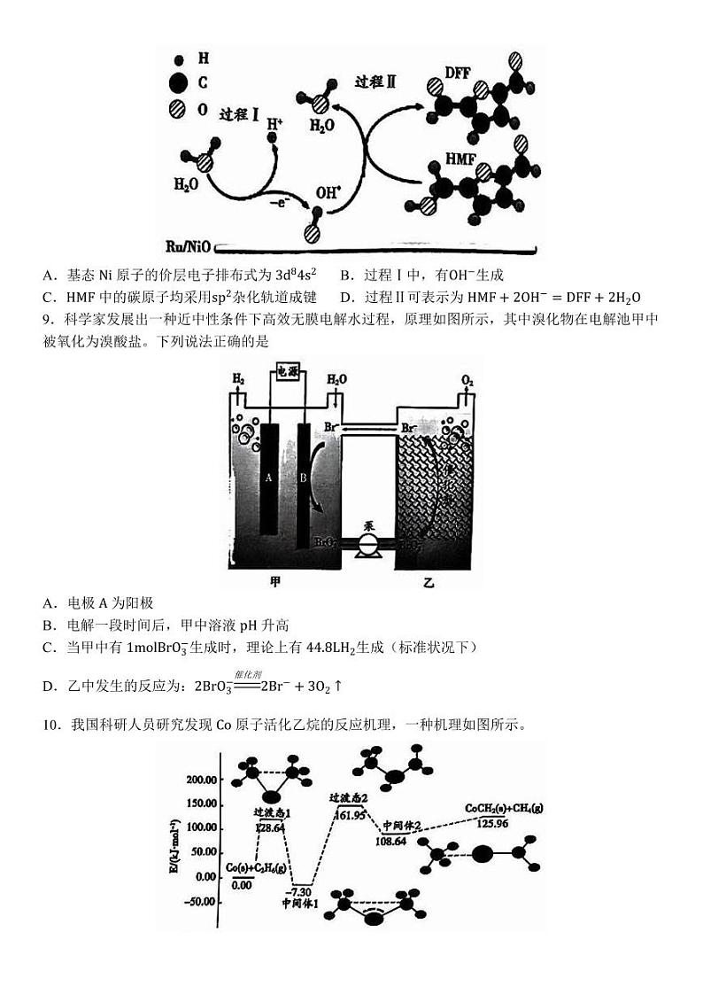 2024届北京市顺义区高三下学期二模化学试卷03