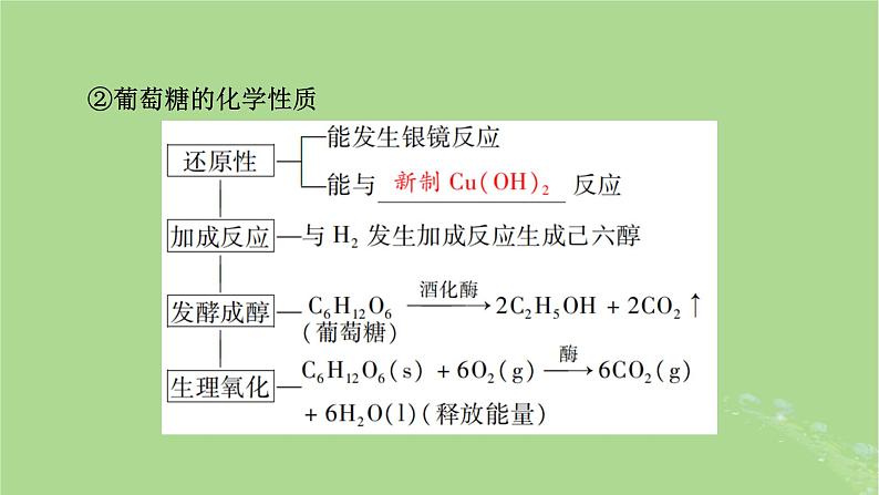 2025版高考化学一轮总复习第9章有机化学基础第34讲生物大分子合成高分子课件08