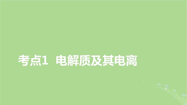 2025版高考化学一轮总复习第1章化学物质及其变化第2讲离子反应和离子方程式课件03