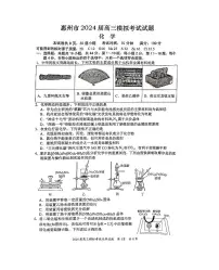 广东省惠州市2024届高三下学期一模化学试题