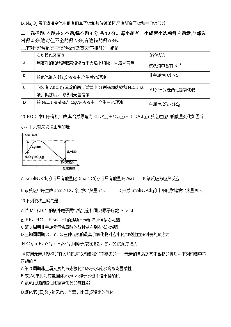 山东省泰安市肥城市2023-2024学年高一下学期4月期中考试化学试题（含答案）03