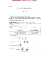 2024届湖南省炎德英才名校联考联合体高三下学期考前仿真联考一化学试题及参考答案