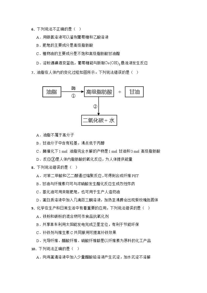 2024届二轮复习选择题专项练习 生物大分子 专题卷（全国通用）第2页