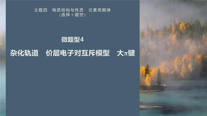 第一篇　主题四　微题型4　杂化轨道　价层电子对互斥模型　大π键-2024年高考化学二轮复习课件01