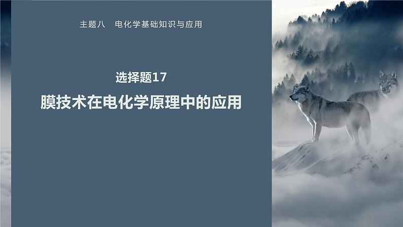 第一篇　主题八　选择题17　膜技术在电化学原理中的应用第1页