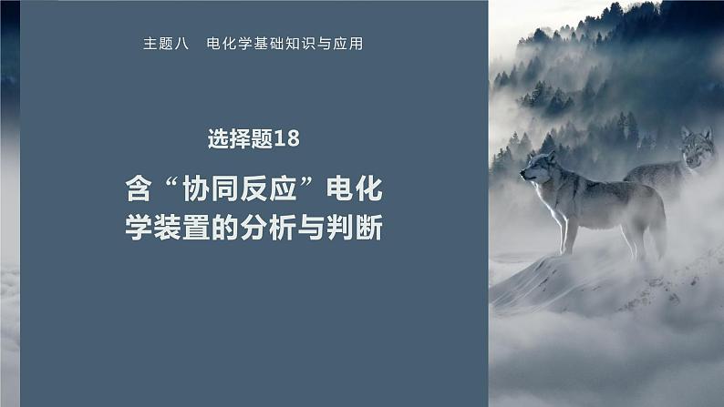 第一篇　主题八　选择题18　含“协同反应”电化学装置的分析与判断-2024年高考化学二轮复习课件01