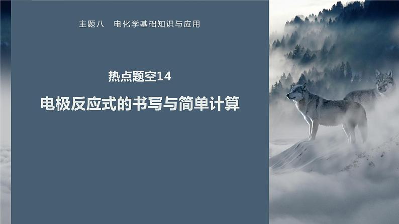 第一篇　主题八　热点题空14　电极反应式的书写与简单计算-2024年高考化学二轮复习课件01